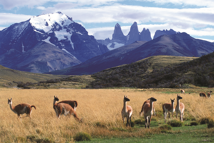 Patagonien: Zwischen Natur, Luxus und Sehnsucht