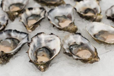 Oysters