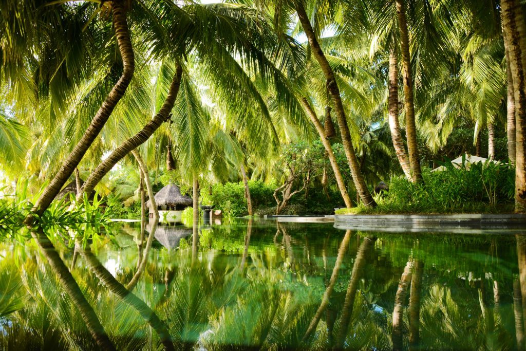 Garden Pool