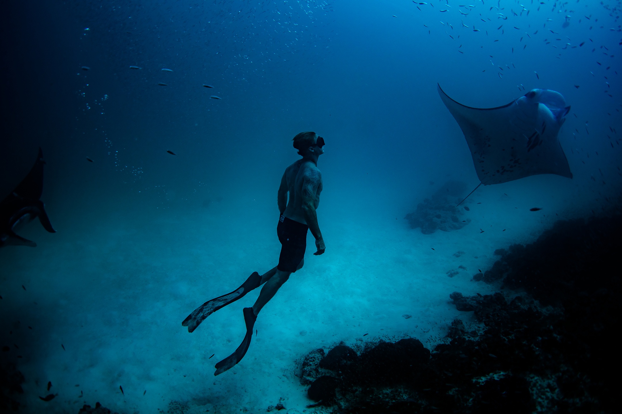 Was für ein Anblick - Unvergesslich: Eine Begegnung mit einem bis zu sieben Meter großen Manta wie hier im Baa-Atoll gehört zu den bleibenden Erinnerungen einer Reise auf die Malediven.