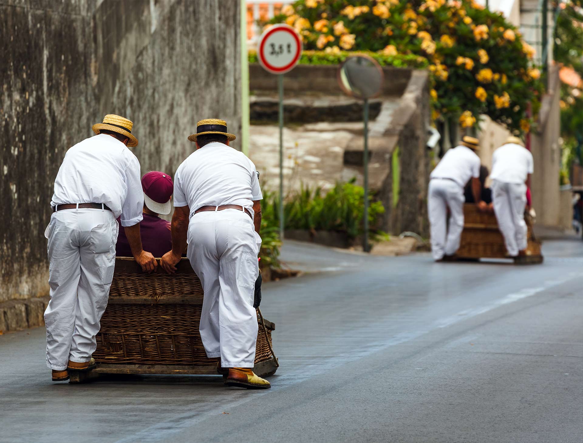 CTP_BLOG_MADEIRA_KORBSCHLITTENFAHRT