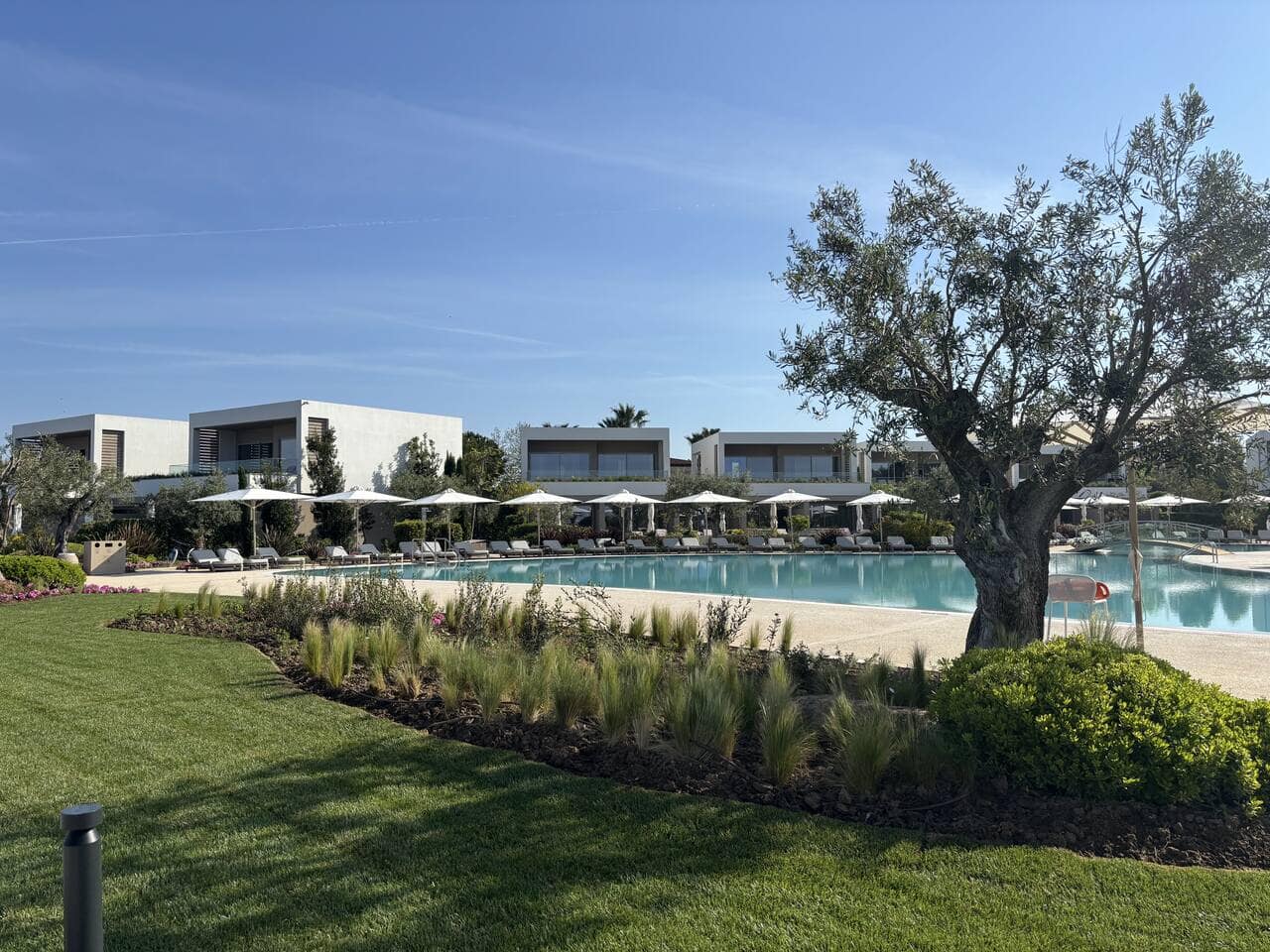 Pool Area