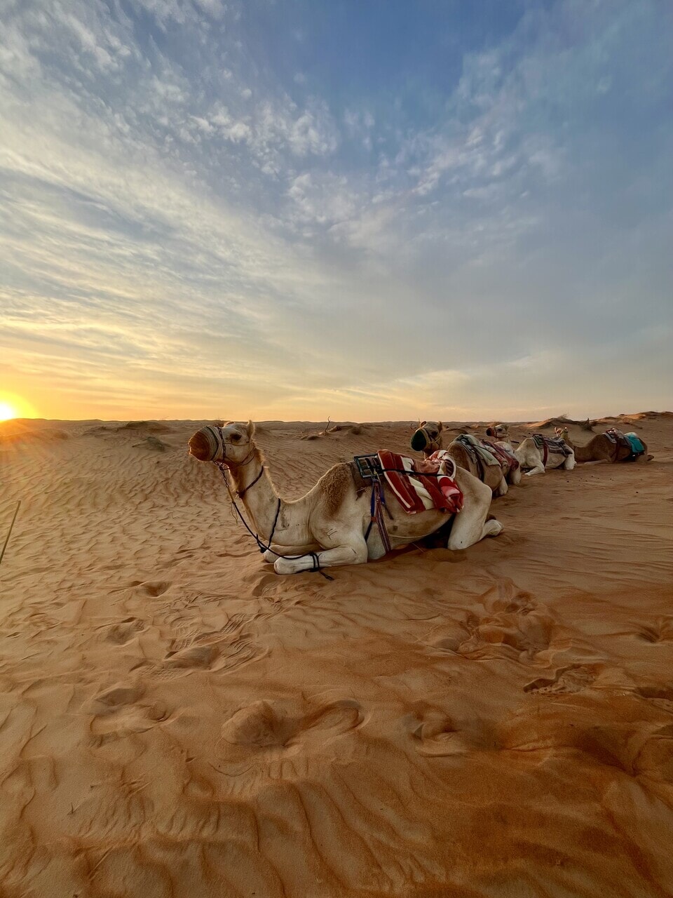 Rub al-Khali