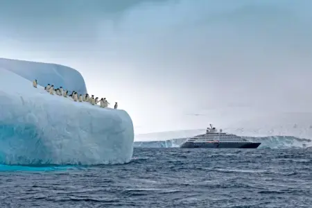Scenic Cruises