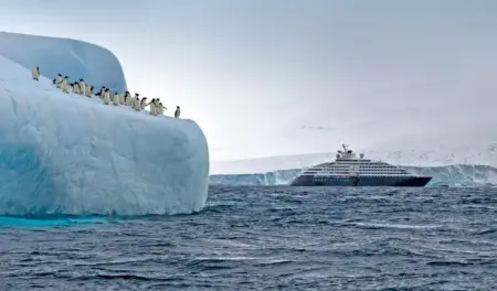 Scenic Cruises