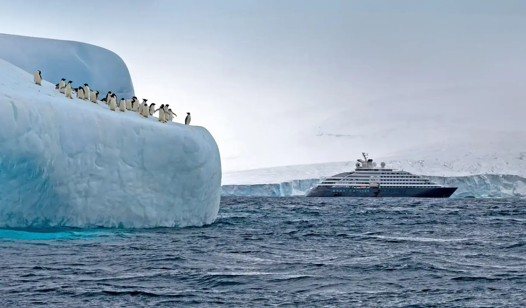 Scenic Cruises