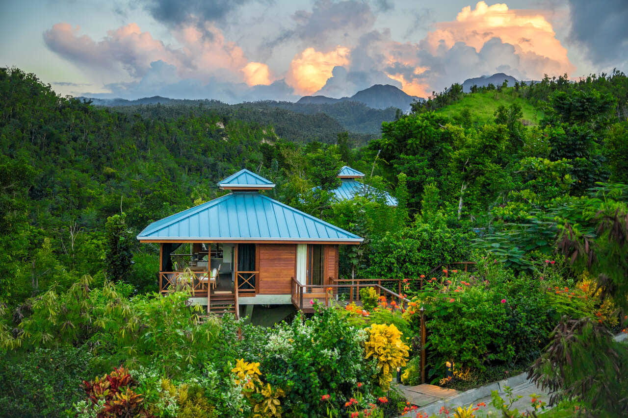 Secret Bay Dominica Dschungel