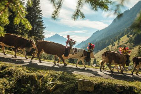 Schweiz Tourismus Alpenpässe
