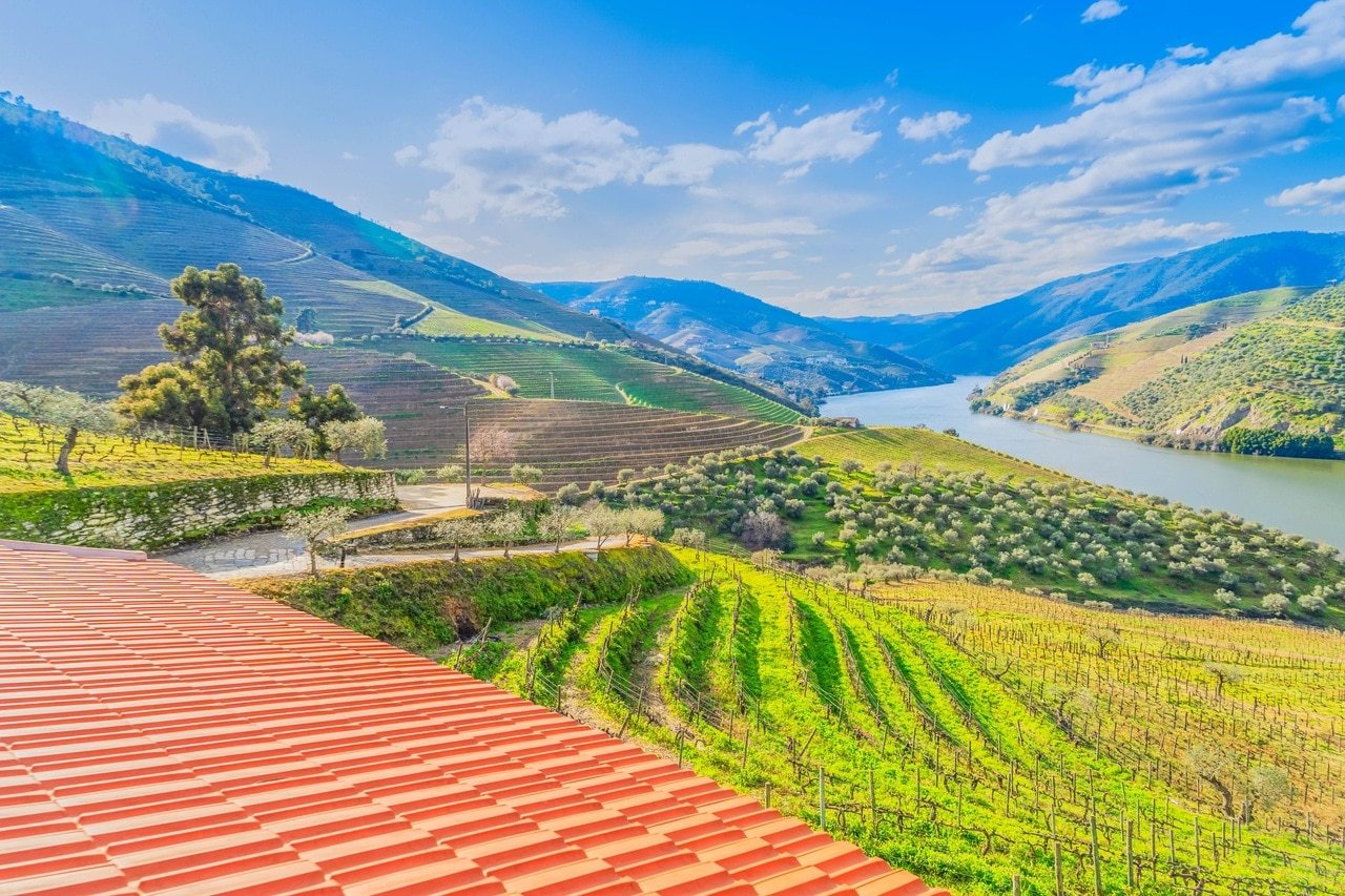 Douro Tal